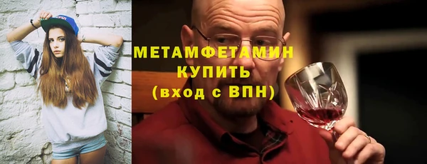 шишки Медвежьегорск