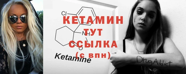 шишки Медвежьегорск