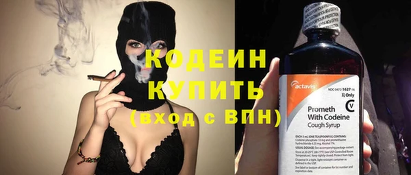 apvp Мегион