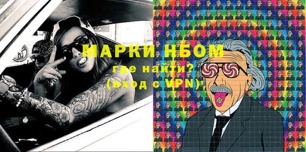 шишки Медвежьегорск