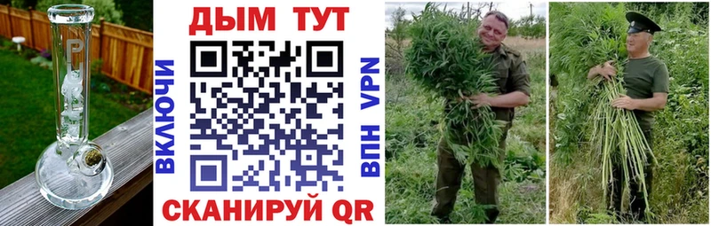Шишки марихуана OG Kush ОМГ ОМГ Сусуман где купить наркоту